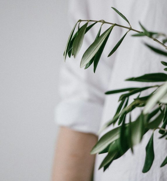 the-bialons-n1hDyt_UYXA-unsplash